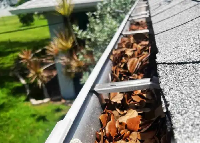 Allendale gutter cleaning home page